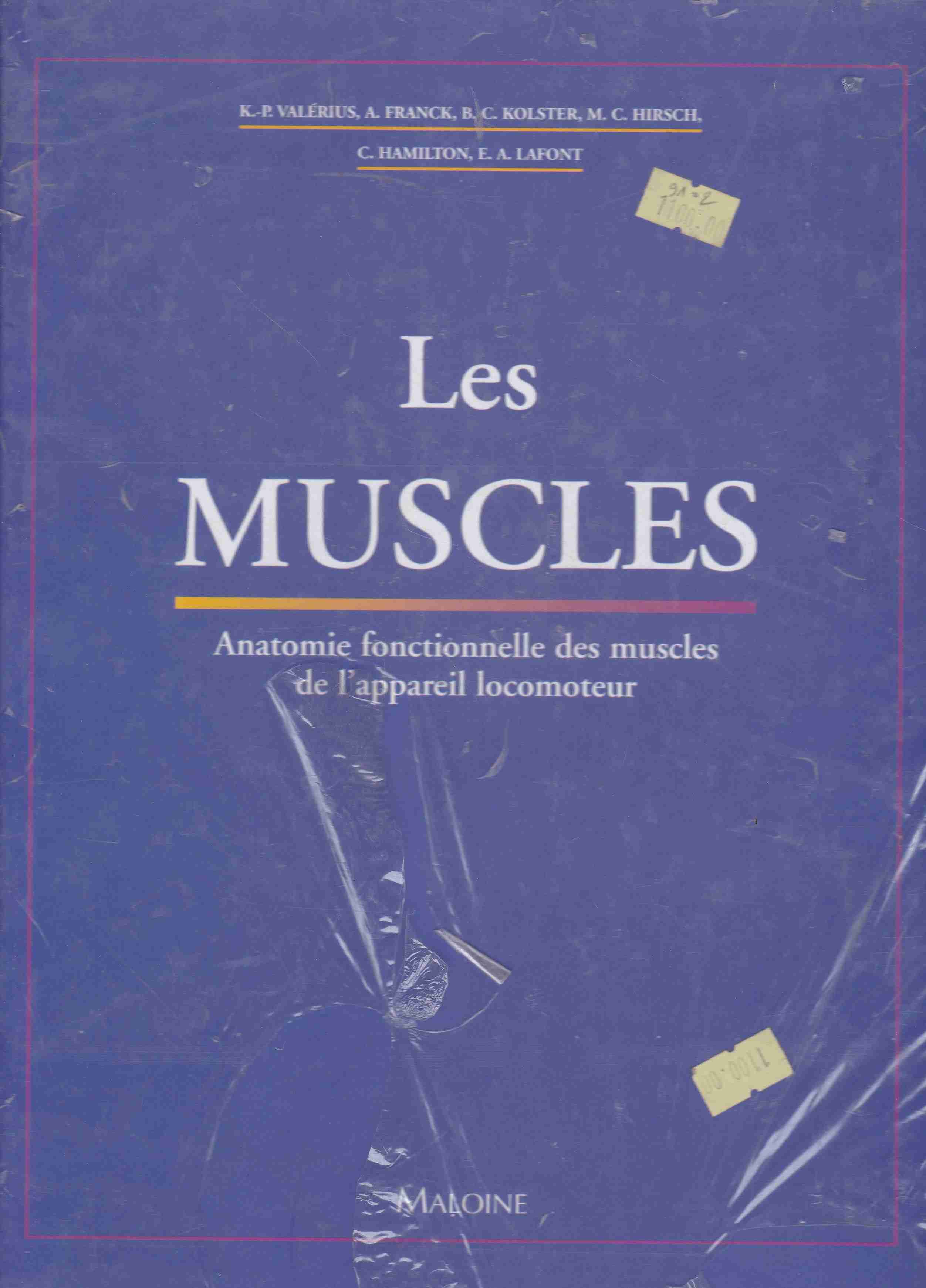 les muscles anatomie fonctionnelle des muscles